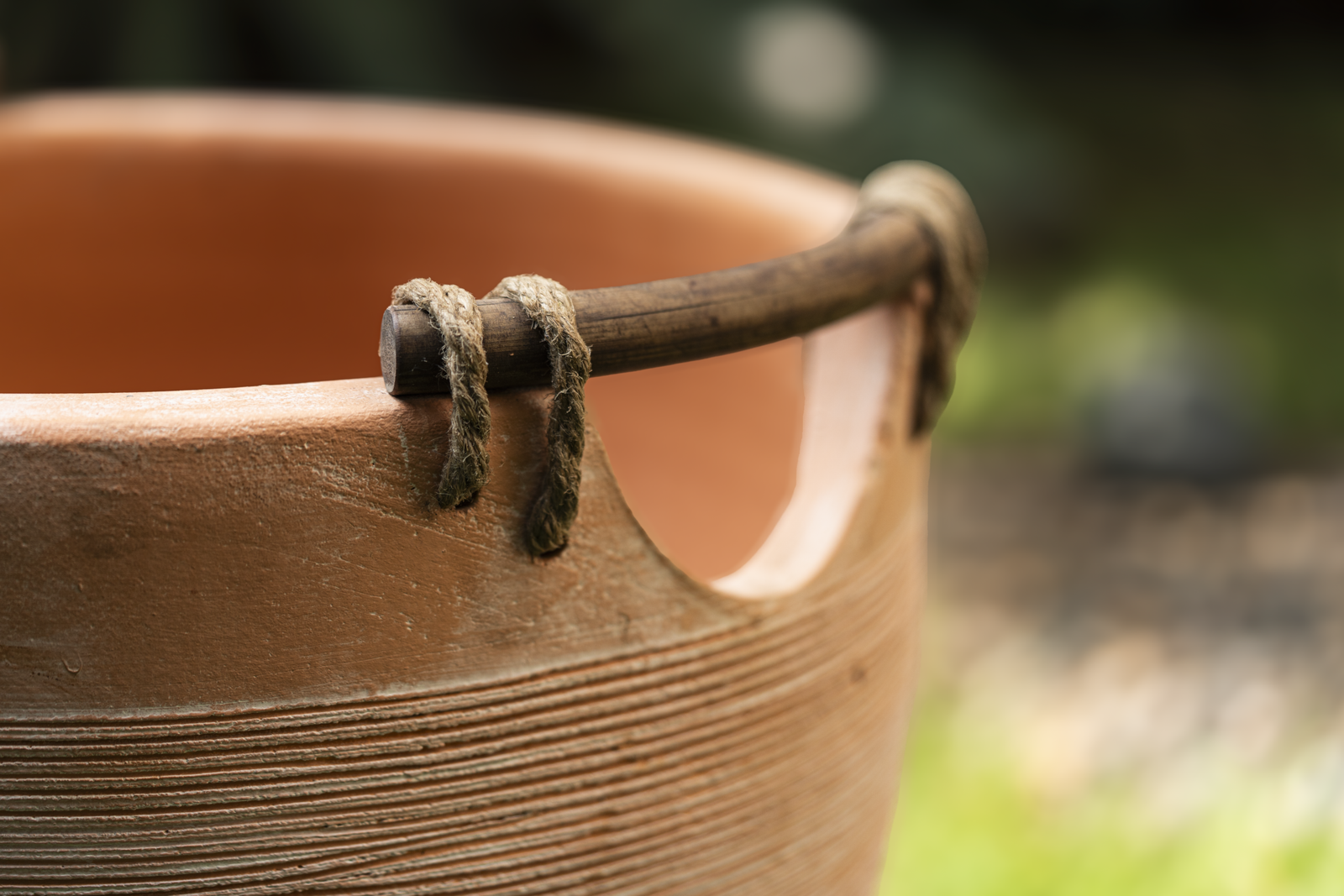 Driftwood Delight - Image 6