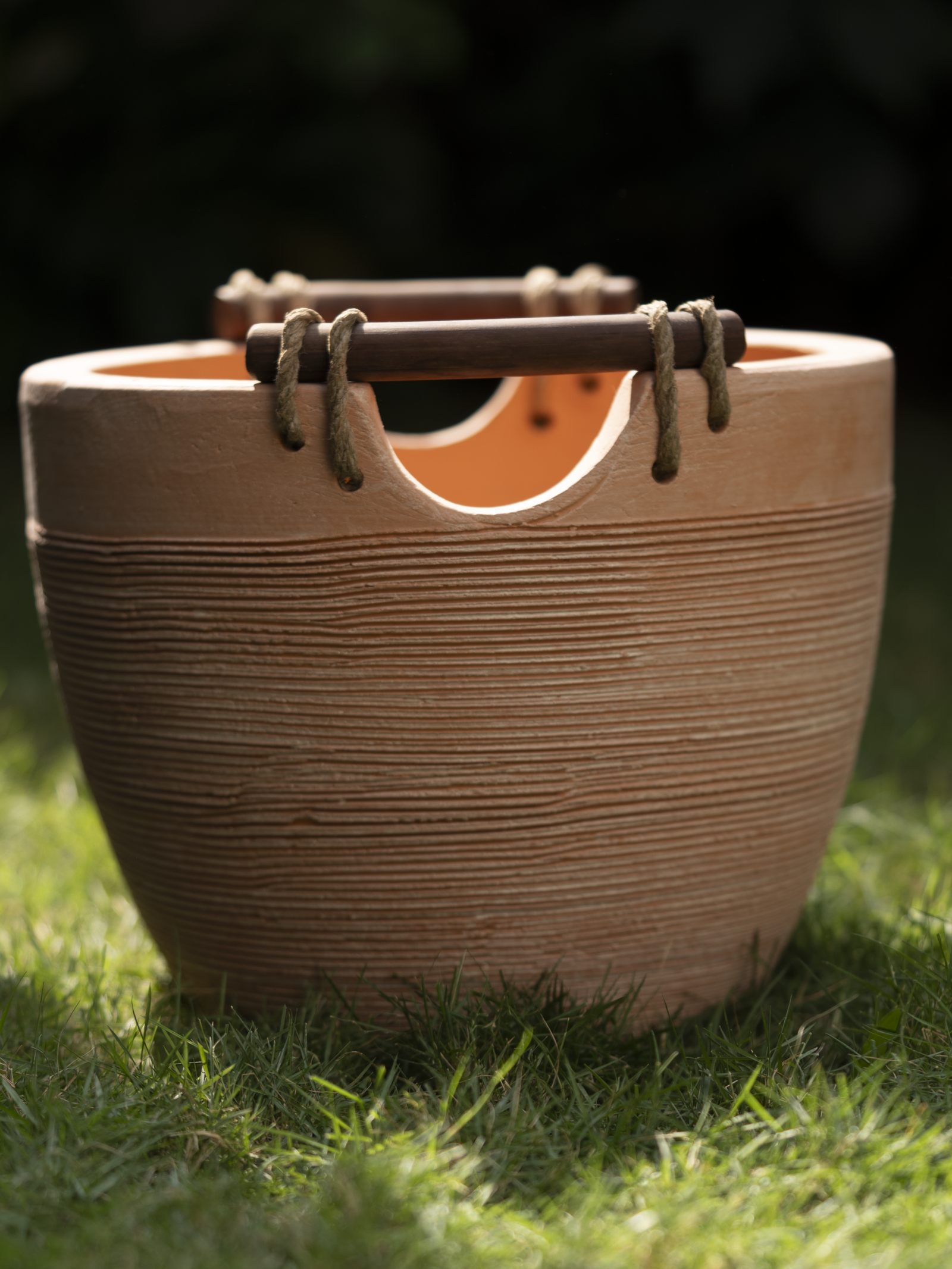 Driftwood Delight - Image 5