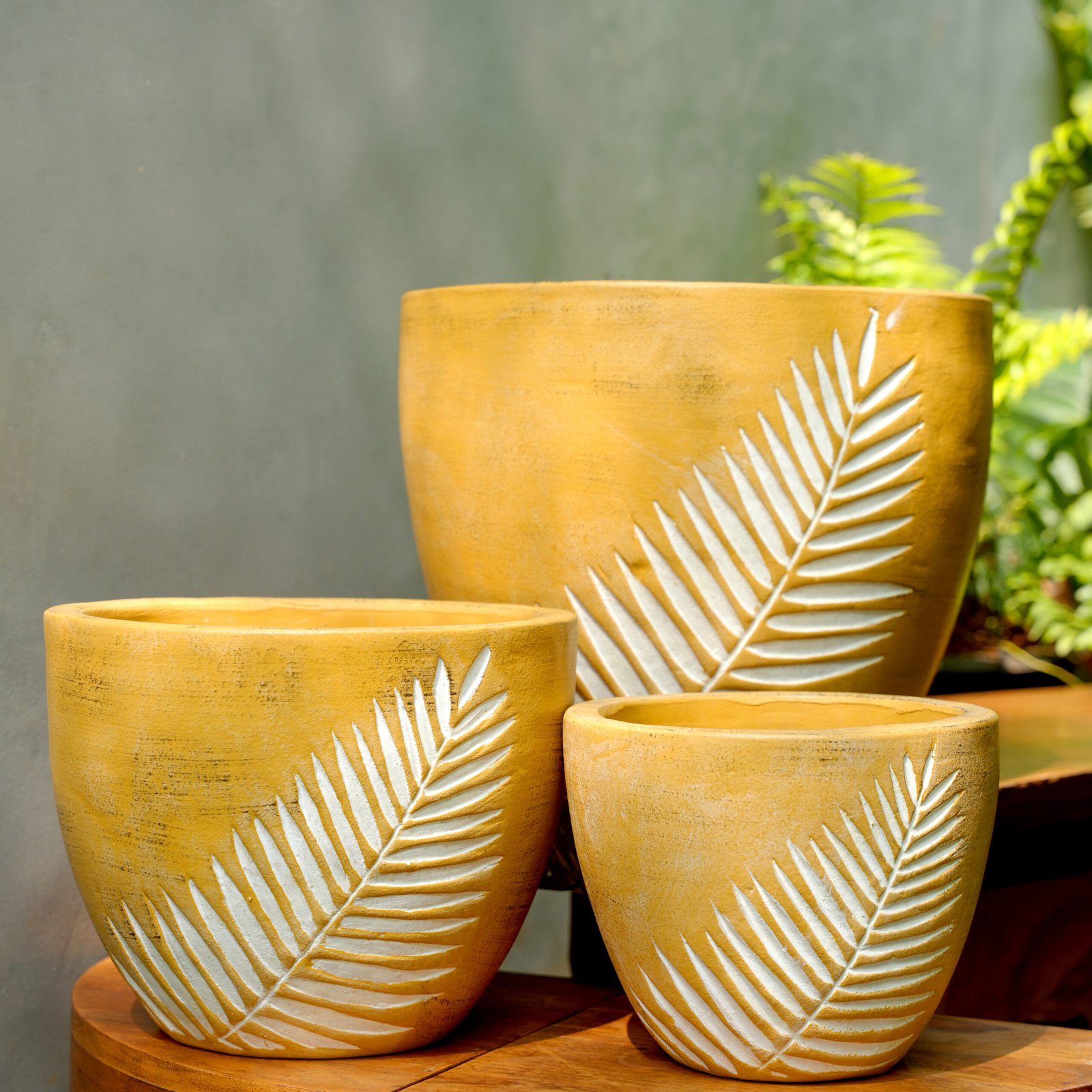 Frond terracotta planter set
