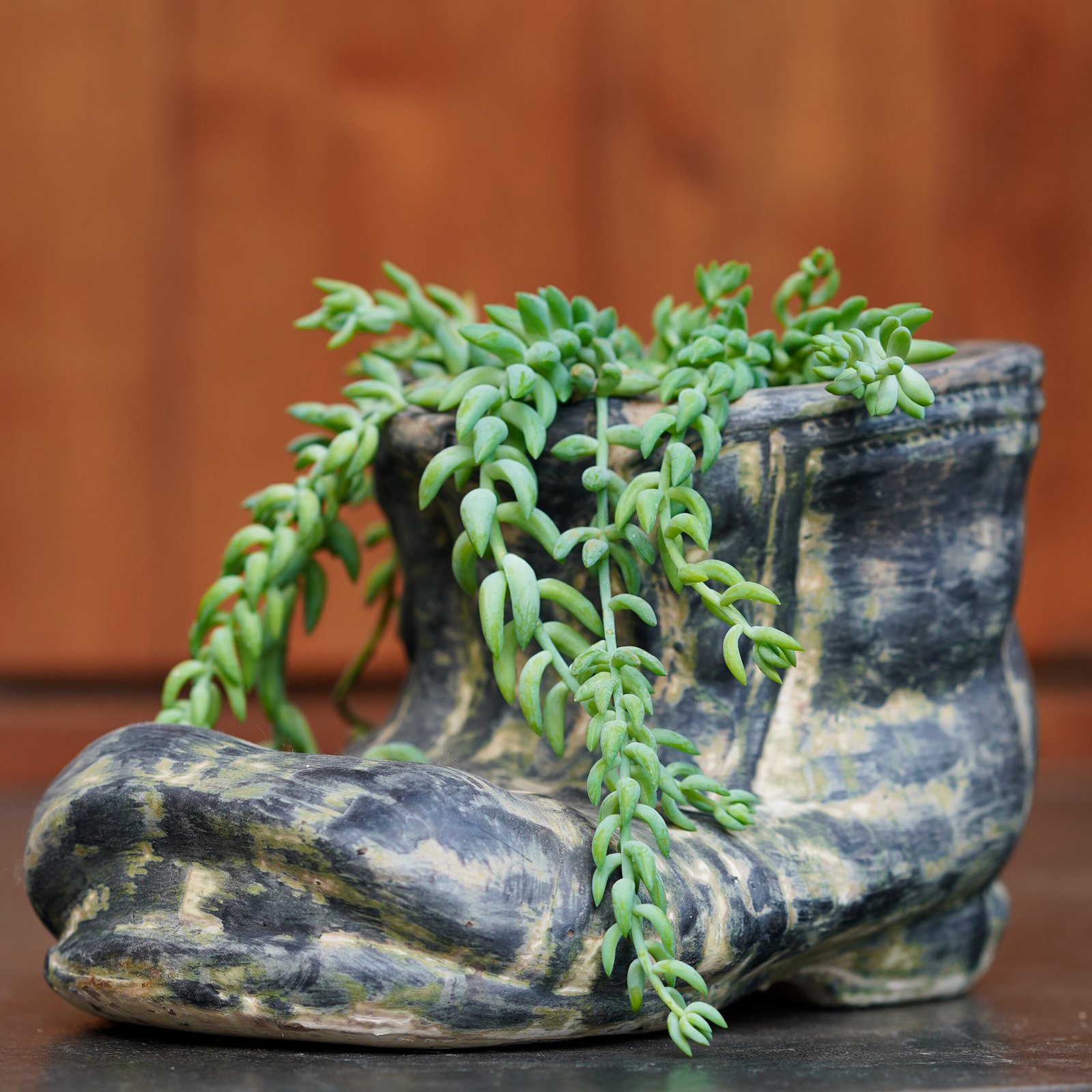 Old Boot Planter - Image 2