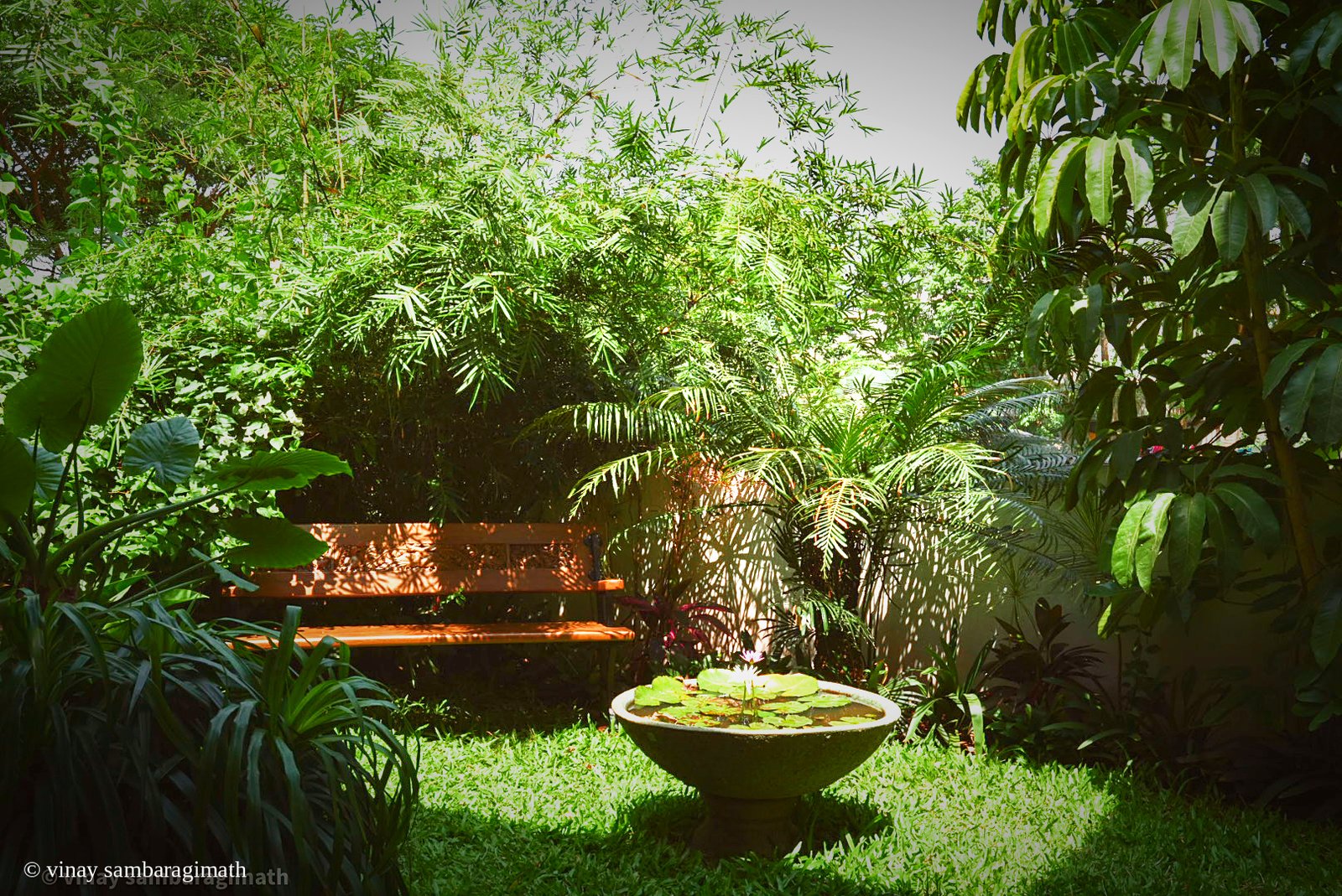 indoor gardens