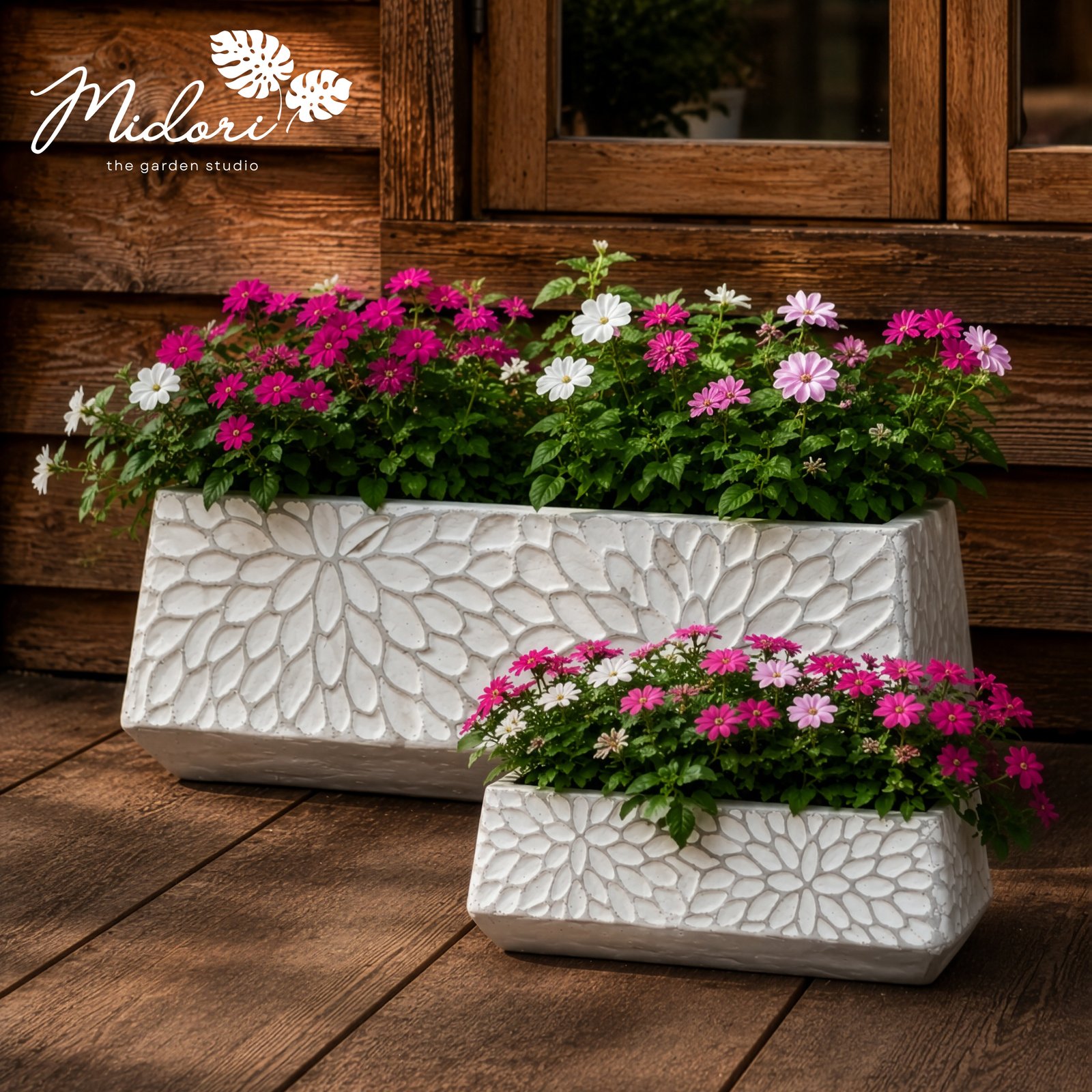 Dahlia trough terracotta planter