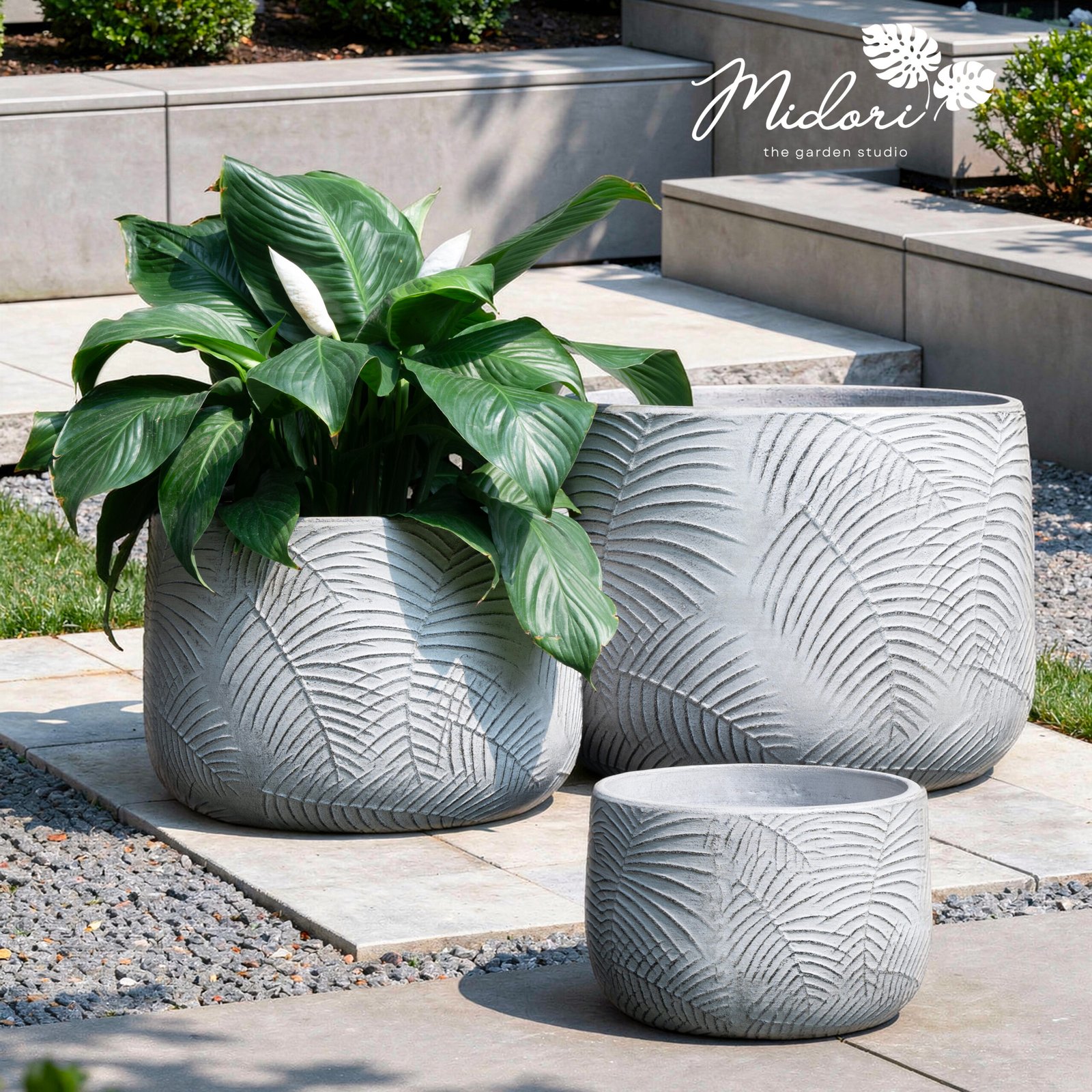 Botanica Areca terracotta planter set of 3 — Concrete shade, Midori The Garden Studio