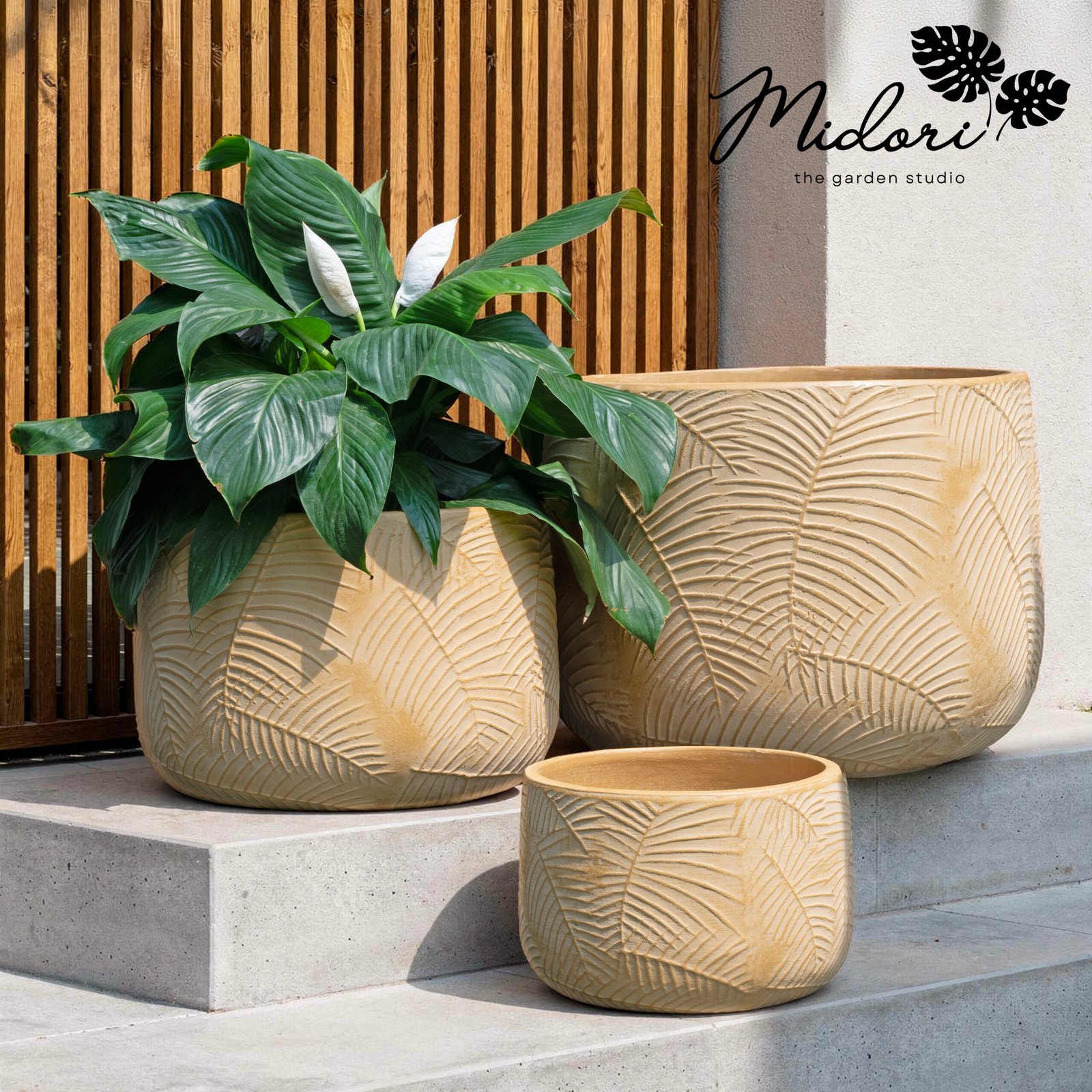 Botanica Areca Sand — large terracotta planter with interlocking palm frond relief in warm amber, Midori Botanica Collection