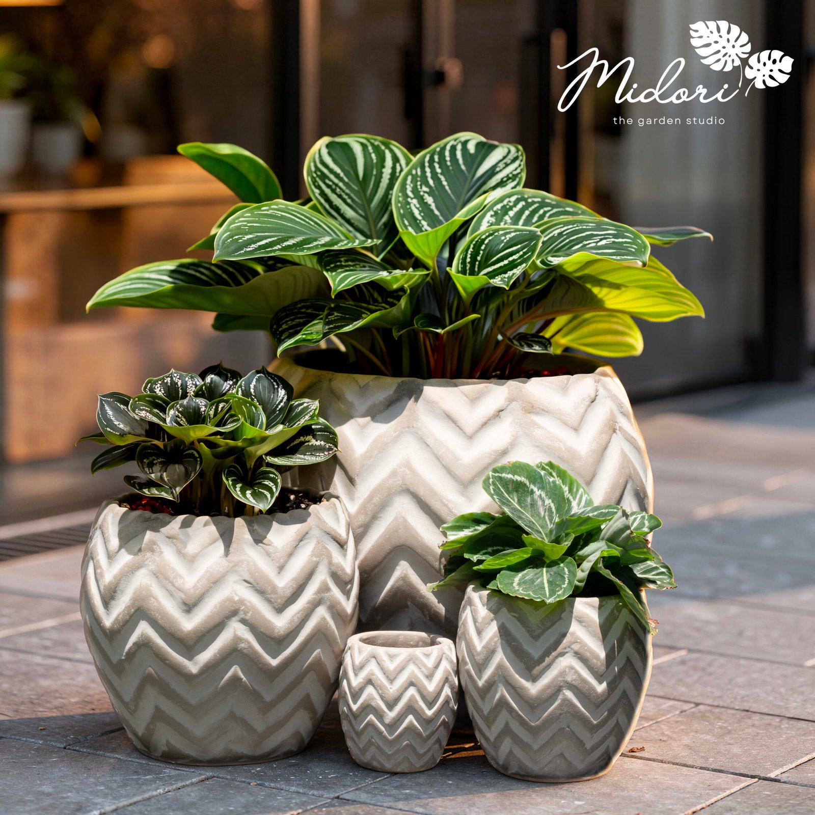 Crest chevron terracotta planter