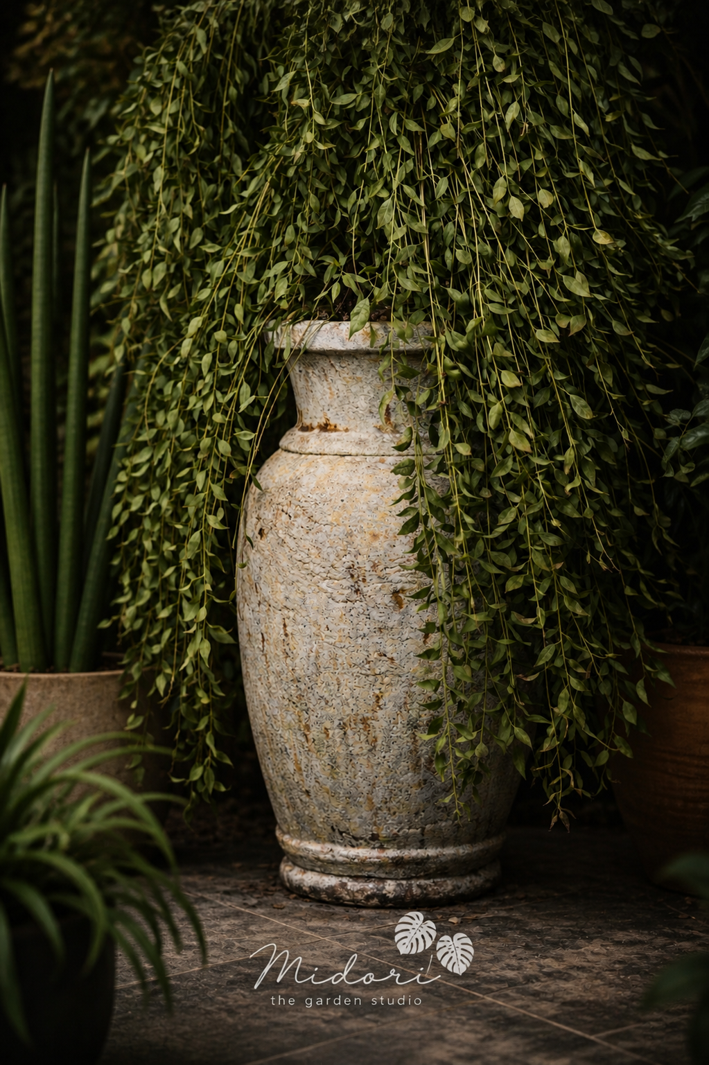 How to choose planter size