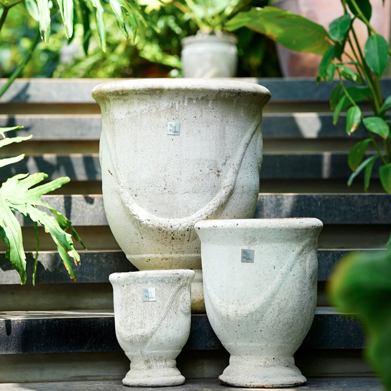 right planter size for plants