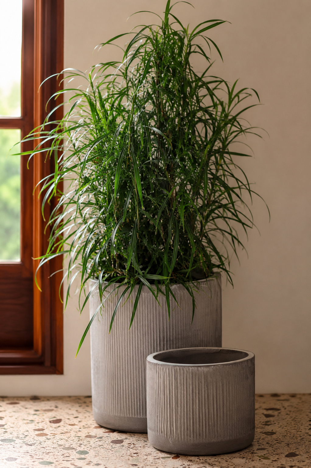 how to choose right planter